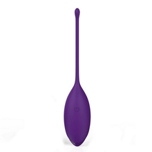 Load image into Gallery viewer, Egg Skipping Women's Masturbation with Remote Control